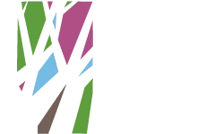 Embassy springs